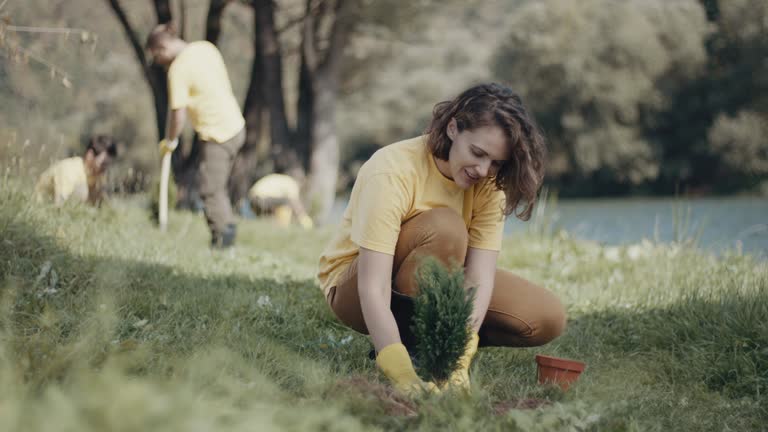 Best Lawn Renovation and Restoration  in Unicoi, TN